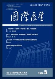 学术发表｜余南平 张致博：适应与改造：人工智能技术革命中的全球南方